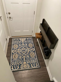 Wall shoe rack